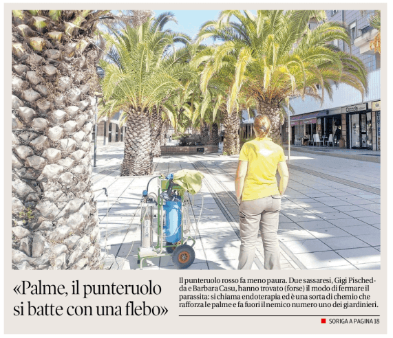 Cura Palme Sardegna