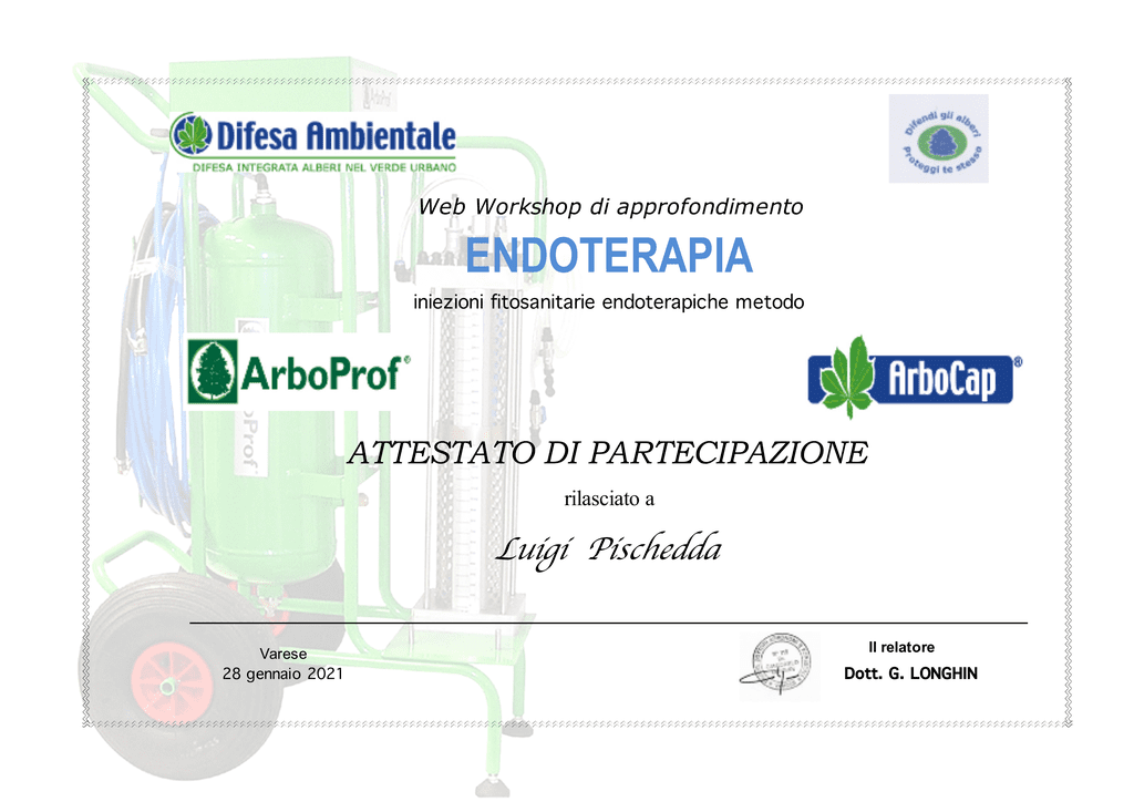 endoterapia OLBIA