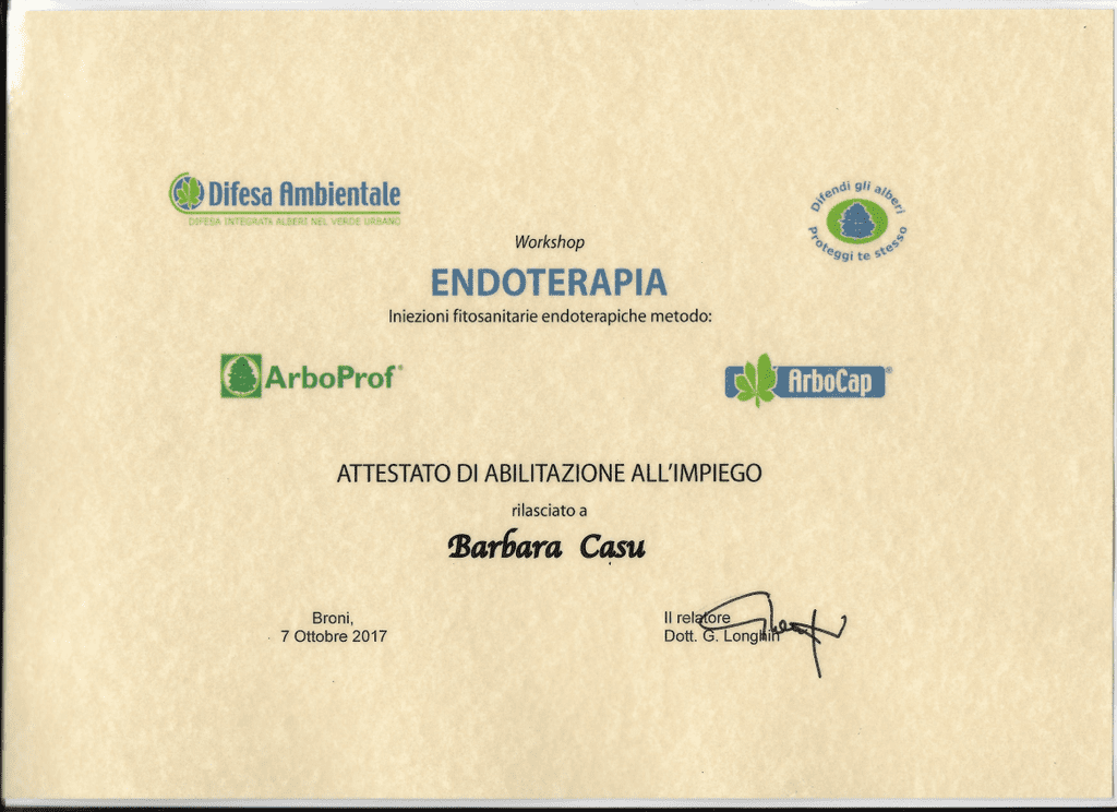 endoterapia SASSARI