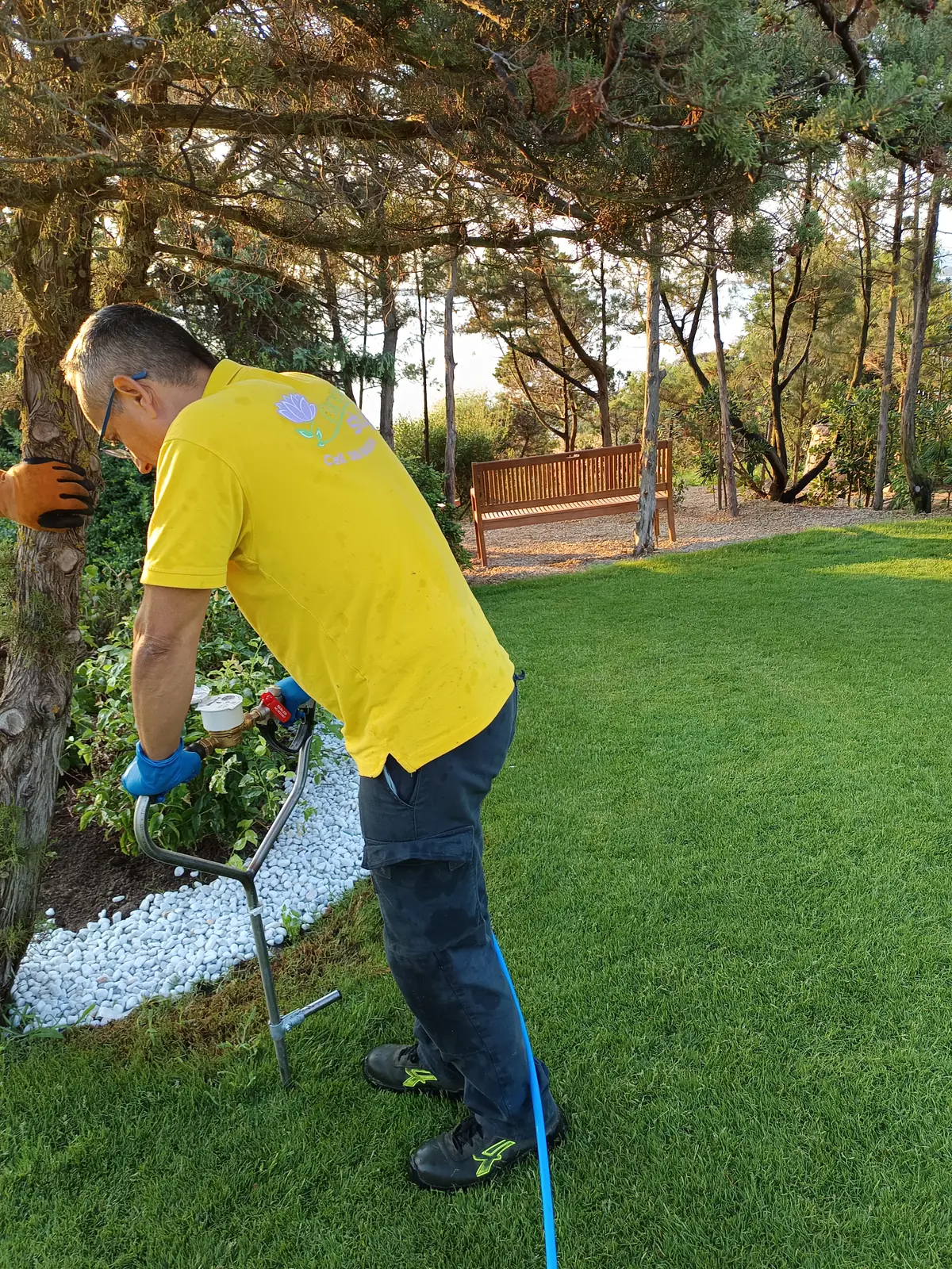 Trattamento con micorrize in Sardegna