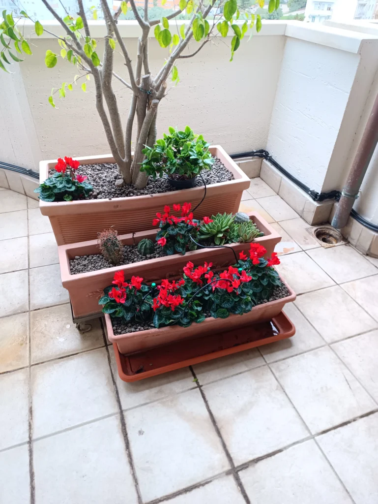verde in terrazzi