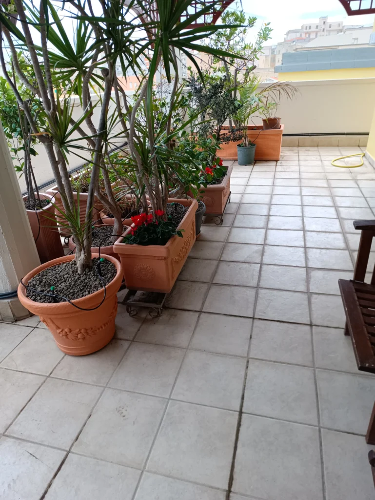 verde in terrazzi