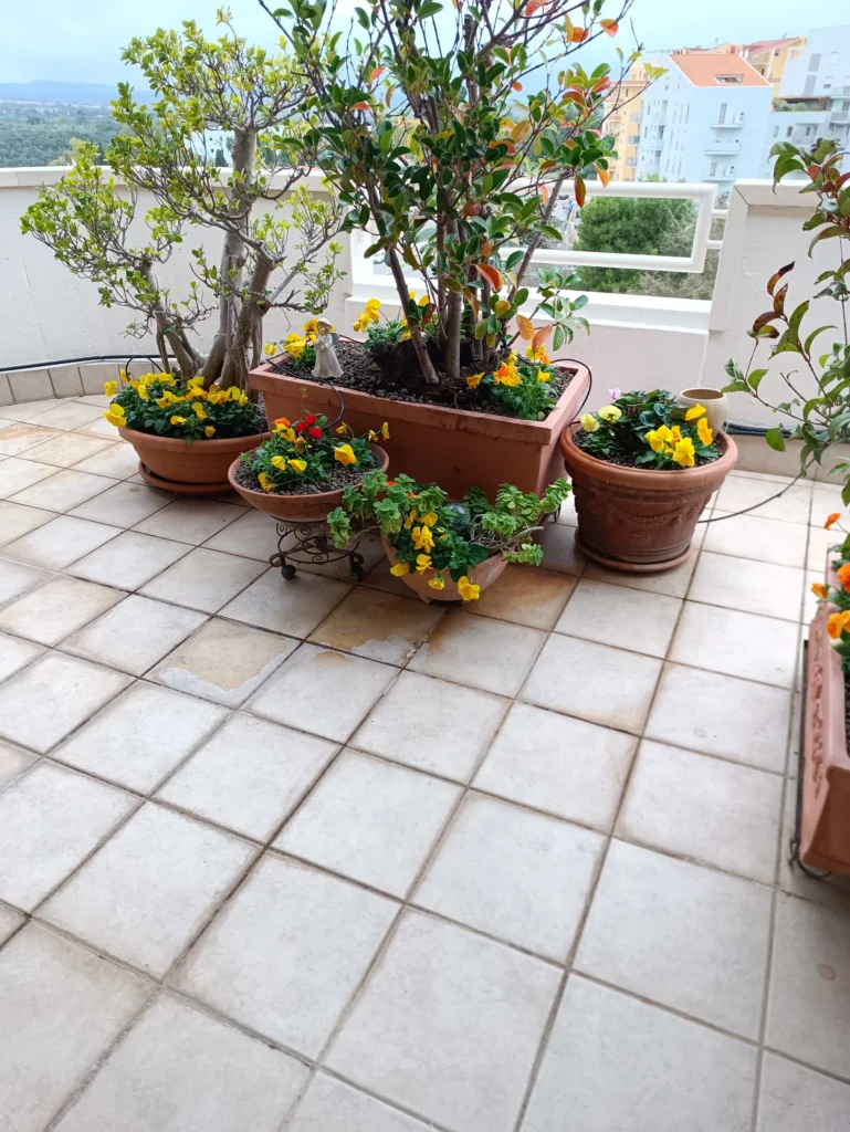 verde su terrazzi a sassari