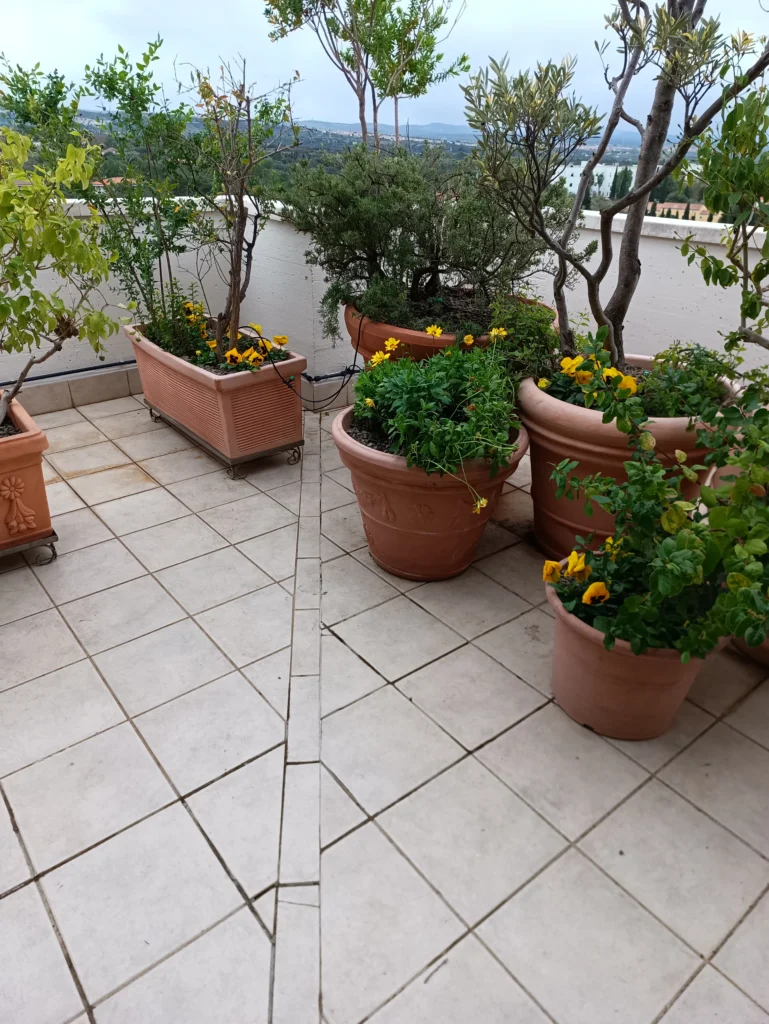 verde su terrazzi a sassari