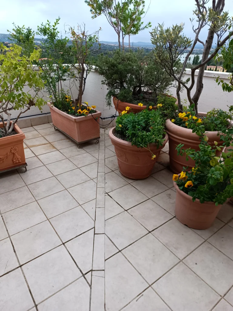 verde su terrazzi e attici