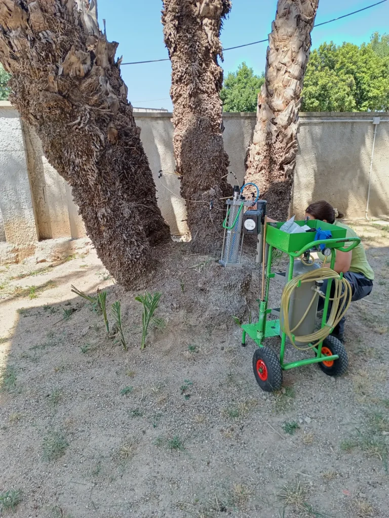 servizi gardenstyle sassari
