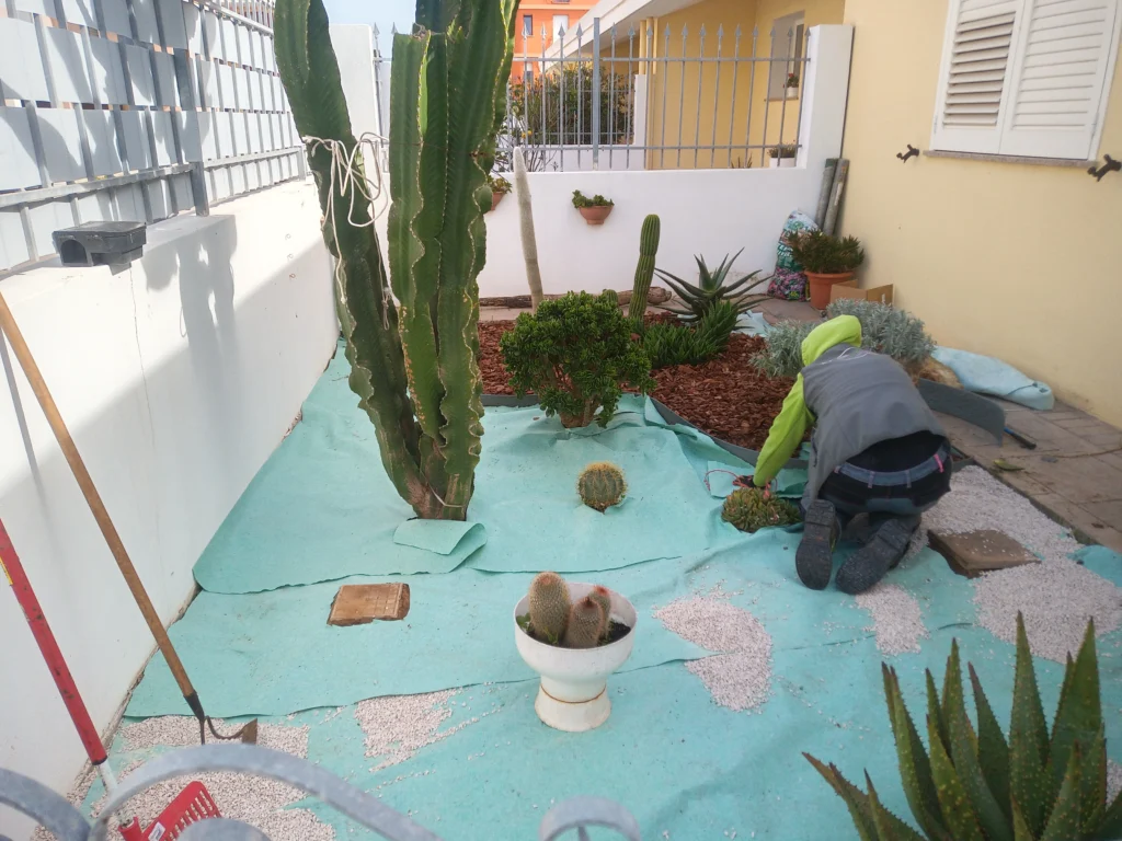 telo pacciamante