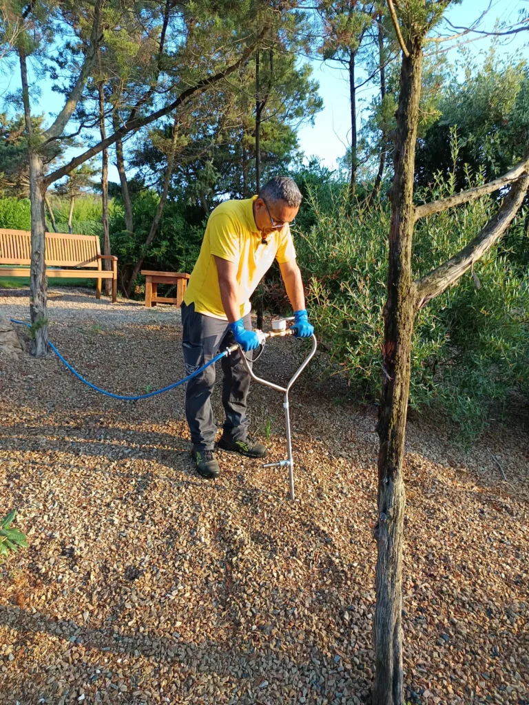 cura del verde a sassari e in Sardegna