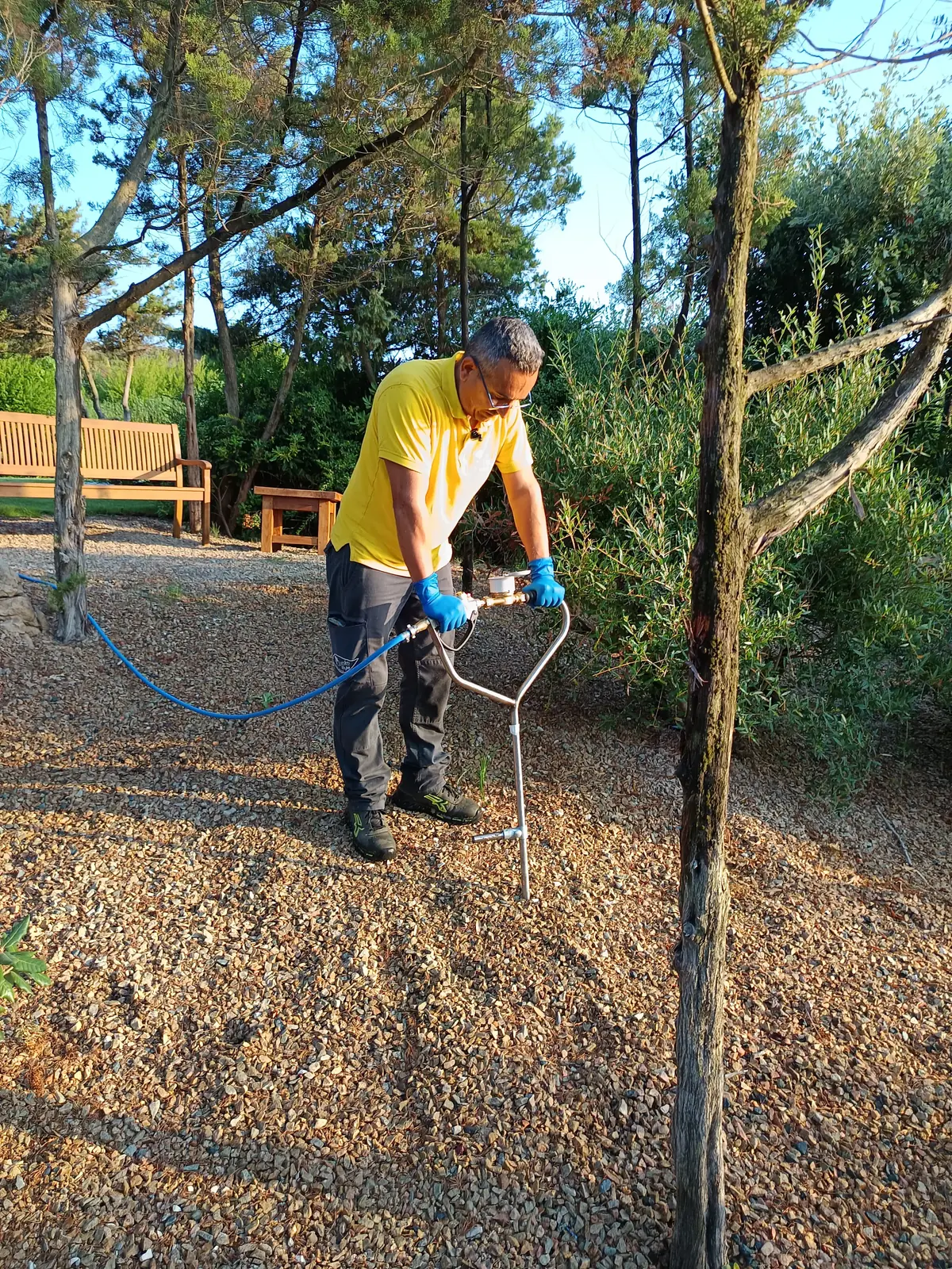cura del verde a sassari e in Sardegna
