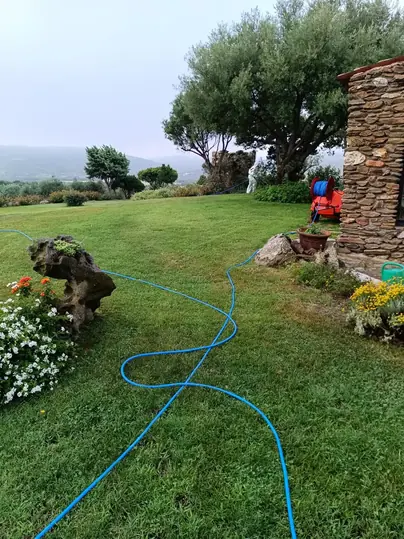 Manutenzione e cura del prato erboso