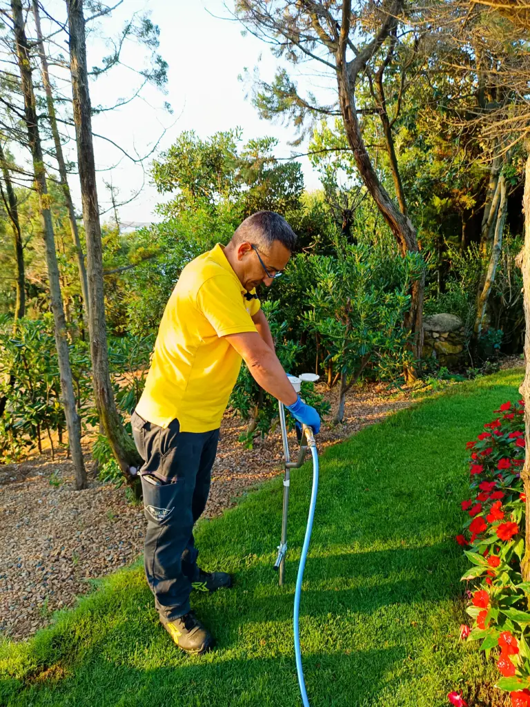 Mycorrhizal soil treatment