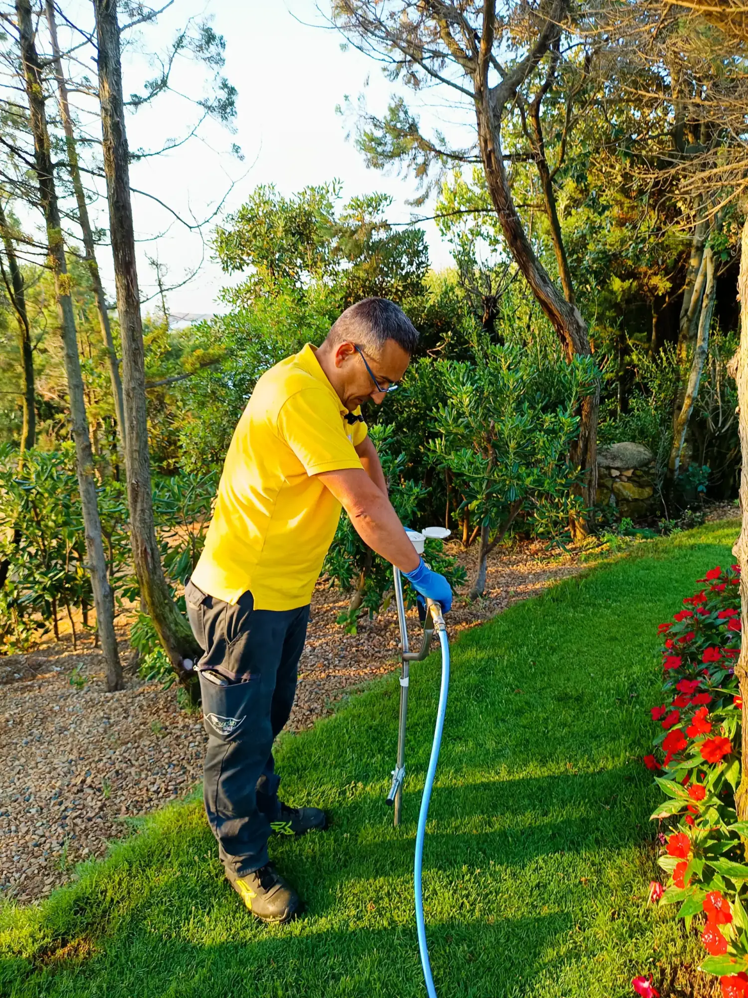 Mycorrhizal soil treatment