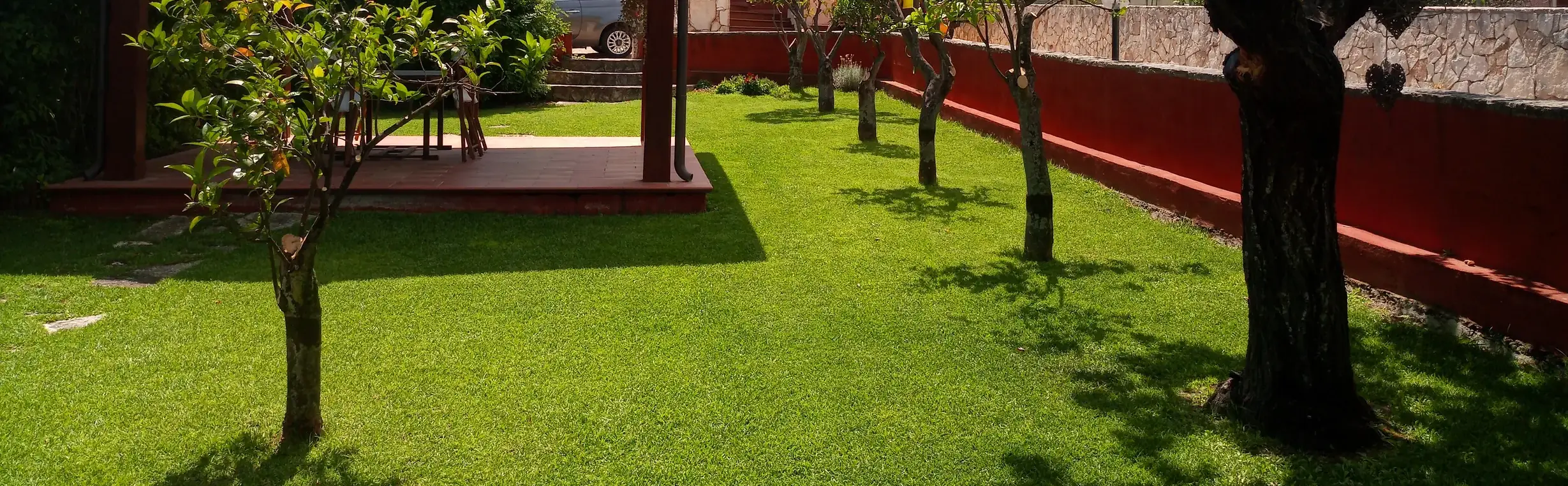 Lawn Maintenance and Care