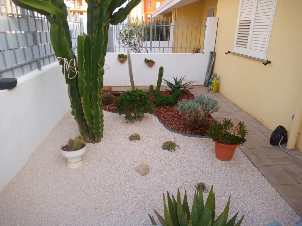 Mulched Decorative Garden Beds