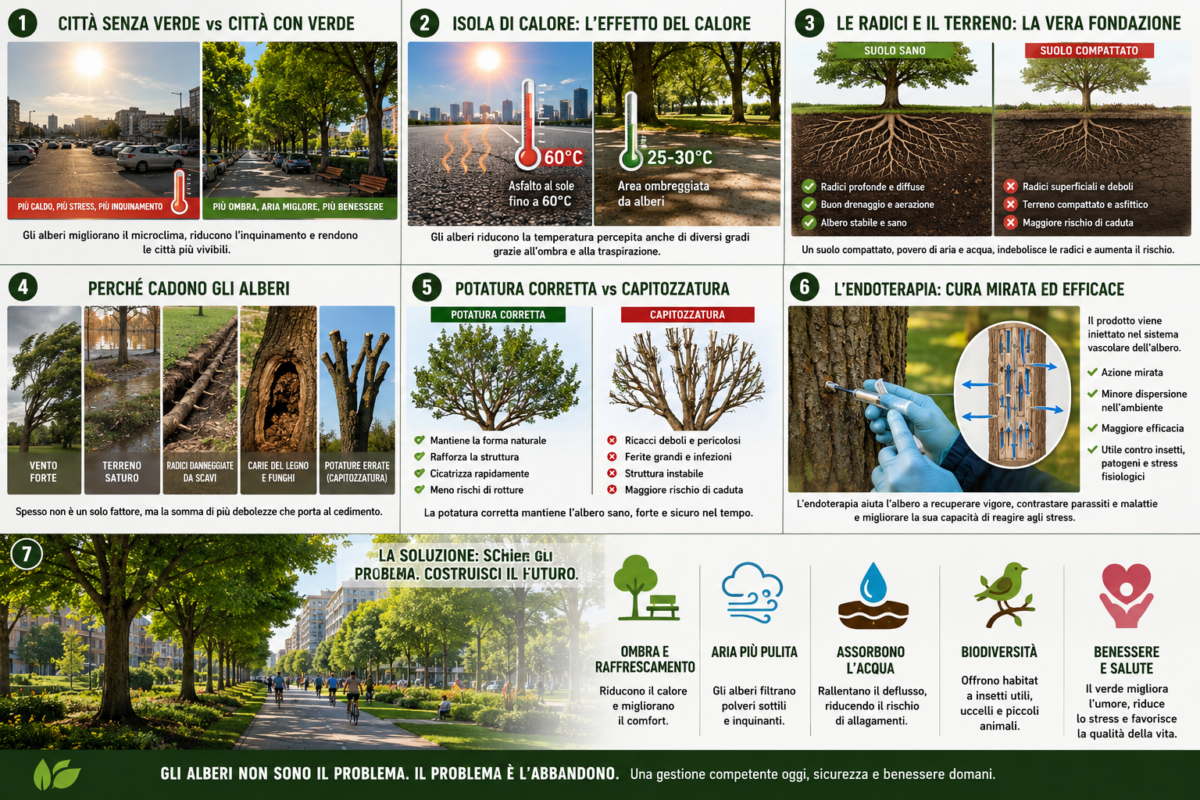 L'importanza degli alberi in città